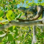 4HR Private Half-day Boat in Gracebay - Why This Tour Offers Great Value