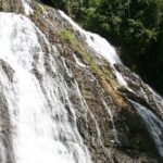 4x4 Happy Jungle Booze Cruise - A Deep Dive Into the Jungle Booze Cruise Experience