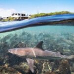 5-day Galapagos on a Budget Experience - What Makes This Tour Stand Out?