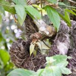 5 Days Cuyabeno Amazon Experience at Waita Lodge - Authentic Experiences and Traveler Ratings