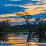5 Days Cuyabeno Wildlife Reserve Adventure - Authentic Encounters and Cultural Highlights