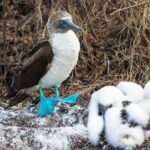 5 Days Guided Galapagos Adventure Trip - Who Will Love This Tour?