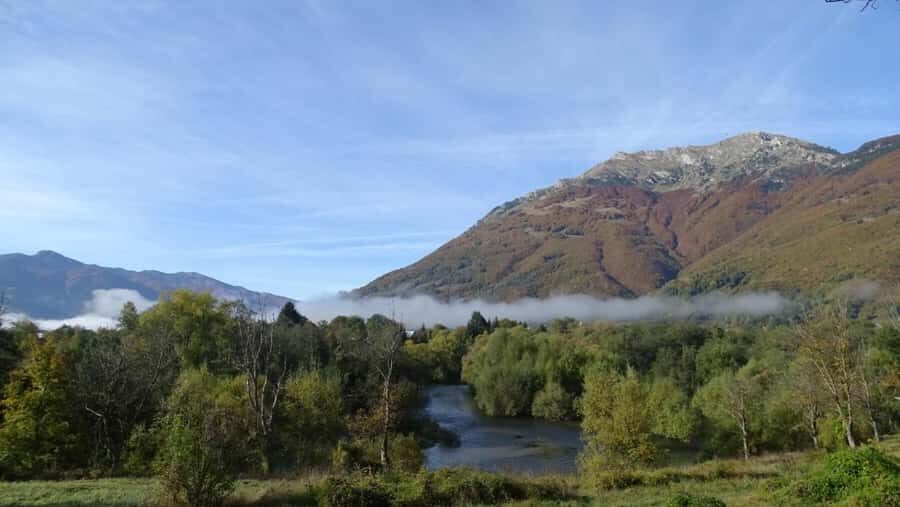 5 Days Jungle Adventure and Fishing Tour - Why This Tour Offers Great Value