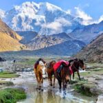 5 Days Salkantay Trekking Adventure to Machu Picchu - An In-Depth Look at the Salkantay Trek to Machu Picchu