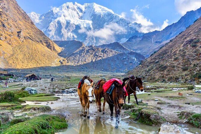 5 Days Salkantay Trekking Adventure to Machu Picchu - An In-Depth Look at the Salkantay Trek to Machu Picchu