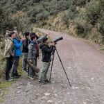 5-Hour Birdwatching and Photography Tour in Monteverde - Who Will Love This Tour?