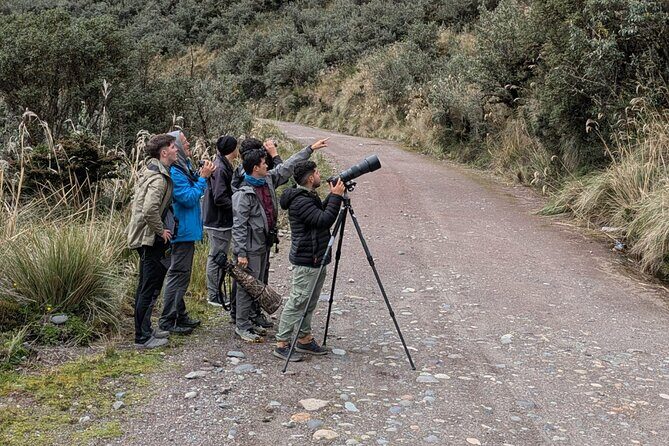 5-Hour Birdwatching and Photography Tour in Monteverde - Who Will Love This Tour?