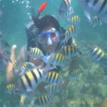 5 islands of the rosario cartagena know the best beaches of cartagena - The Sum Up