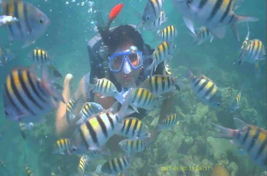 5 islands of the rosario cartagena know the best beaches of cartagena - The Sum Up