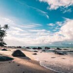 5 islands tour with Lunch Snorkeling and Plankton - Transportation & Group Size: Comfort and Personal Attention