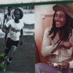 6. Bob Marley 9miles/Dunn's River Private Tour(420 Friendly)final resting place - Detailed Review of the Bob Marley & Dunns River Private Tour