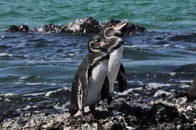 6-Day Galapagos Island Hopping Tour: Santa Fe, Santa Cruz and Los Tuneles - Why This Tour Is a Great Fit