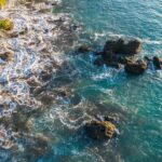 6-Day Osa Jungle Adventure Tour in Osa, Drake and Corcovado - Final Thoughts on Value & Experience