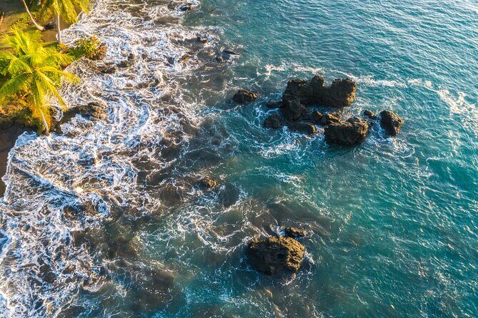 6-Day Osa Jungle Adventure Tour in Osa, Drake and Corcovado - Final Thoughts on Value & Experience