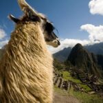6-Day Peru, Connect your Energies: Lima, Cusco & Machu Picchu - Frequently Asked Questions