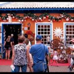 6 Hour Buddhist Temple and Embu das Artes Tour  Art Galleries, Artisan Shops - Who Should Consider This Tour?