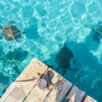 6 Hour Private Guided Tour Beyond the Beaches of Curacao - The Sum Up