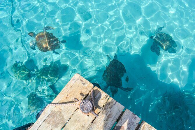 6 Hour Private Guided Tour Beyond the Beaches of Curacao - The Sum Up