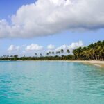 6 Hour Private Saona Island Tour with Snorkeling - The Sum Up: Who Should Book?