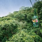 6 in 1 RainForest Adventure From San Jose - Is This Tour Right for You?