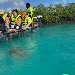 6-Passenger Motorized Clear Kayak Mangrove Tour in Providenciales - A Deep Dive into the Experience