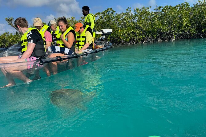 6-Passenger Motorized Clear Kayak Mangrove Tour in Providenciales - A Deep Dive into the Experience