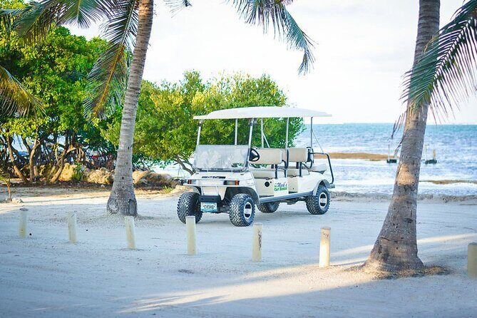 6-Seater Golf Cart Rental in San Pedro - Who Should Consider This Rental?