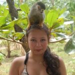 7 Damajagua & Monkey Home Tours waterfalls - The Sum Up
