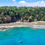 7 Day Adventure and Wildlife Tour in Drake Bay and Osa - Drawbacks & Considerations