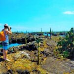7-Day Galapagos Island Hopping Tour: Tortuga Bay, Tintoreras, Wildlife Watching - What Travelers Say: Authentic Perspectives
