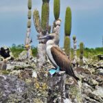 7-Day Galapagos Magic Expedition - Cost and Value Analysis