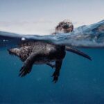 7-day Galapagos on a Budget Experience - Final Thoughts