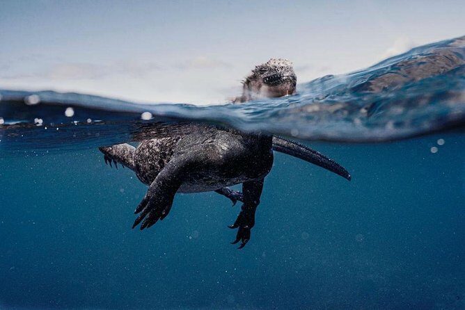 7-day Galapagos on a Budget Experience - Final Thoughts