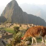 7-Day Lima and Cusco Tour with Sunrise at Machu Picchu - Final Thoughts