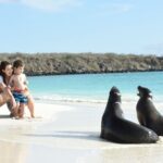 7 Days Tour in Quito and Santa Cruz/Galapagos - Best of Ecuador - Flying to the Galapagos: Seamless Transition to Wildlife