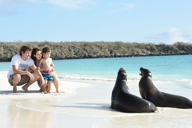 7 Days Tour in Quito and Santa Cruz/Galapagos - Best of Ecuador - Flying to the Galapagos: Seamless Transition to Wildlife