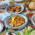 7 Hour- Private Nature Tour of the Monte Plata Rainforest - Who Is This Tour Best For?