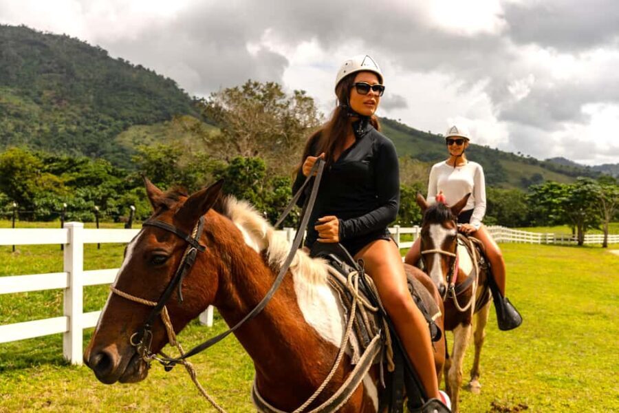 7 TOURS in 1 Day: Zipline Chairlift ATV Horseback Punta Cana - Practical Considerations and Tips