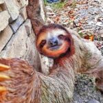 8 Day - San Jose - Arenal Volcano - Manuel Antonio Beach - Transitioning to the Beach