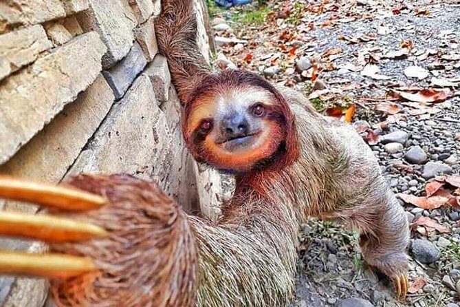 8 Day - San Jose - Arenal Volcano - Manuel Antonio Beach - Transitioning to the Beach