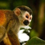 8-day tour through the mountains and Amazon of Ecuador - Who Will Love This Tour?