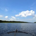 8-Hour Amazonas Jungle Treck & Anavilhanas Archipelago - Why This Tour Works for You