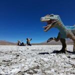 8-Hour Tour in Arequipa Laguna de Salinas with Pickup - Pricing and Value