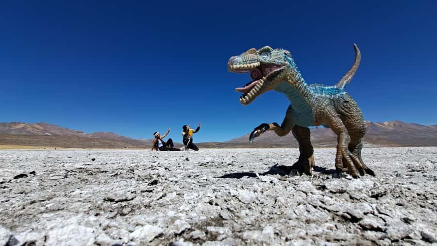 8-Hour Tour in Arequipa Laguna de Salinas with Pickup - Pricing and Value