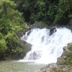 A Cultural Encounter with the Emberá Private Tour - What Makes This Tour Stand Out?