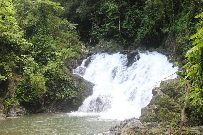 A Cultural Encounter with the Emberá Private Tour - What Makes This Tour Stand Out?