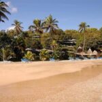 A Day Over Young Island - The Sum Up