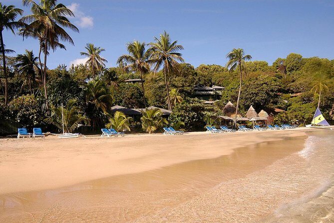 A Day Over Young Island - The Sum Up