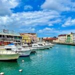 A Good Bajan Day - Bestselling Barbados Highlights Tour - A Deep Dive into the Barbados Highlights Tour