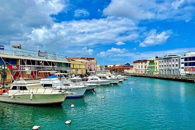 A Good Bajan Day - Bestselling Barbados Highlights Tour - A Deep Dive into the Barbados Highlights Tour